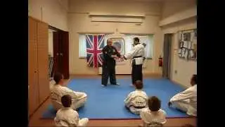 Cheongye Kwan Techniques
