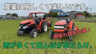 雨で遅れた耕耘作業を急ピッチで行います！自然農法