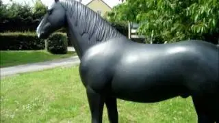 Large Model Pony Life Size 12.2hh 128cm 51 Inches