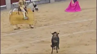 Bull Fight show at Madrid, Spain 🇪🇸