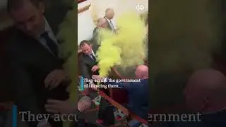 Smoke bombs set off in Albania's Parliament | DW News
