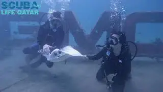 Discover Scuba Dive in Qatar!