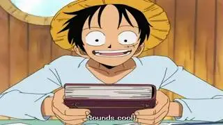 One Piece   Luffy's Reading Book?