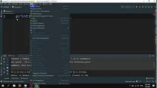 How to Print the documents of Python built in function