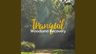Peace in the Woodland