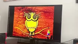 BabyFirst Sandman episode 25 owl 🦉 and parrot 🦜