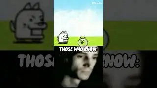 Трагедия стеклянного кота.