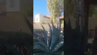 Gallegos family painting LLC phoenix az interior exterior gabinetes and footing repair