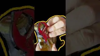 🐽 Nuestro destapador de botellas ya se encuentra disponible en  www.grupomarrano.com