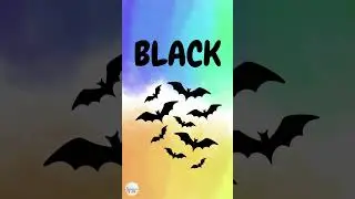 Black Color for Toddlers | Learn Colours | Kids Shorts #shorts #learncolors