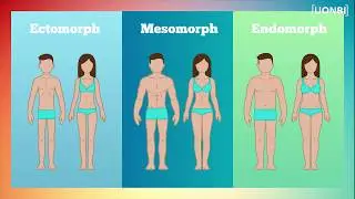 MINUTE REPONSE #5 : Les types de morphologies