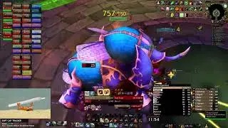 Land Before Time naxx tanking 1/22