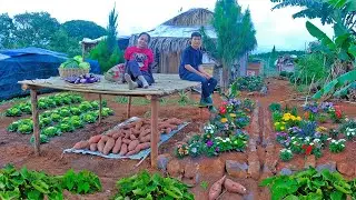 Harvest Heart Cabbage, Eggplants To Sell At Market – Plant Flowers, Build A Firewood Drying Platform