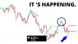 🚨 СРОЧНО! Индикатор потока на фондовом рынке сработал 🔥 Почему индекс SP500 будет расти (SPY, QQQ...