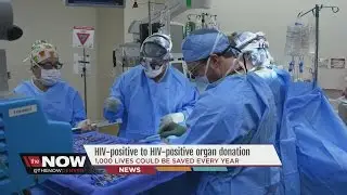 HIV positive organ transplant now possible