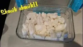 Comment FAIRE du FROMAGE cheddar de lait de CHÈVRES cru - Épisode 30