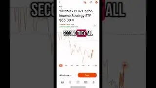 Added PLTY, FEAT, HOOY, and AMZY to my portfolio. #robinhood #yieldmax #passiveincome
