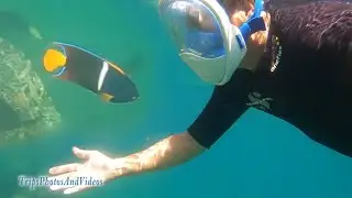 Documentary: Galapagos Beach Snorkeling And Hiking in Santiago Island. (2025)