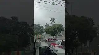 Intensa lluvia en el parque de Cardel