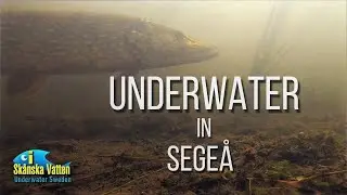 Underwater in Sege &aring; / Sege River