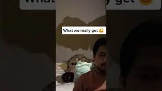 The expection vs reality about cute cat #shorts #cat #cats #reality #vs