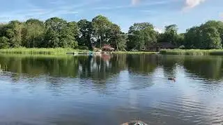 A sunny day rowing Rollesby & Ormesby broad. Fishing, Birds & wildlife. The Norfolk broads. UK.