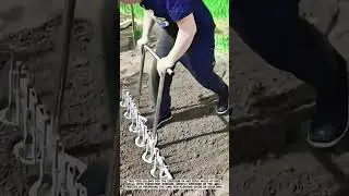 Create Planting Holes with Manual Tools | Agricultural Land Preparation #AgriculturalInnovation