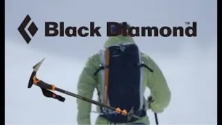 Black Diamond Whippet Ski Pole