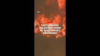 Fast-moving wildfires burn in northwest Colorado