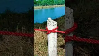 How to tie Rope Knot #shorts #satisfying