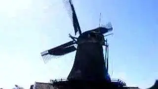 Het Jonge Schaap