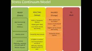 Stress Continuum Model