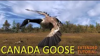 Canada Goose Extended Tutorial - theHunter Classic