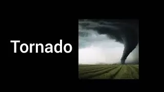 vocabulary flashcards (about Nature)
