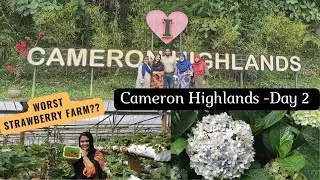 Day 2 Vlog at Cameron Highlands | Raju Hill Strawberry Farm | Orchid & Rose Garden | Super Cold Day