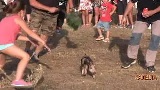 BOHOYO EN FIESTAS 13 14 y 15  AGOSTO 2017