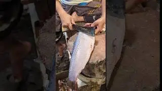 Most Creative Rohu Fish Cutting Skills By Professional Cutter|😲 (episode:-97)&nbsp;#shorts