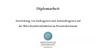 Auswirkung von Androgenen und Antiandrogenenauf die Mitochondrienfunktion im Prostatakarzinom