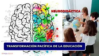 🔴 NEURODIDÁCTICA: TRANSFORMACIÓN PACÍFICA de la Educación 🚀