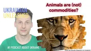 Animals are (not) commodities?