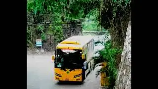 Gordon Town Road Noisy Buses