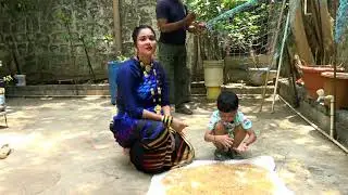 Joint Fisheries Managment | Fisheries Department | Maharashtra State