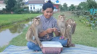 Happy Afternoon!! Lovely Kako Family Happy Playing Outside