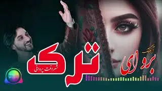 شرافت پروانی آهنگ برو ای ترک که ترک صتم کردم