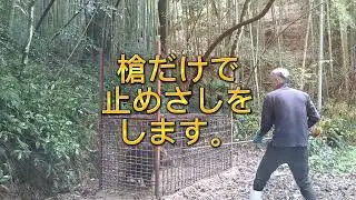 箱罠の槍の突きかた