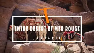 Road-trip en Jordanie en 4X4 : du WadiRum à la mer Rouge en passant par Pétra, Amman...   Jordanie