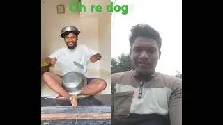 #funny #comedy viral video dog