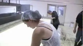 Making Raw Milk Cheese at Full Circle Creamery