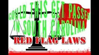 Potential Red Flag Laws in South Carolina &ndash; What You Need to Know - UPDATES IN DESCRIPTION