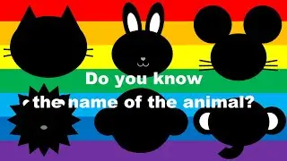 【intellectual education】do you know the name of the animal?